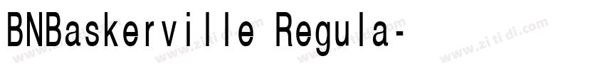 BNBaskerville Regula字体转换 BNBaskerville Regula字体转换